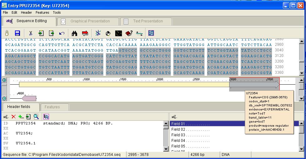 Chapter 1 - Kodon Basic Software 11 Figure 1-13. The Sequence editor window. 1.7.7 Raise the number of Mismatches allowed to 1 and press the found. button again. More matches are 1.7.8 Double-click on any matching region.