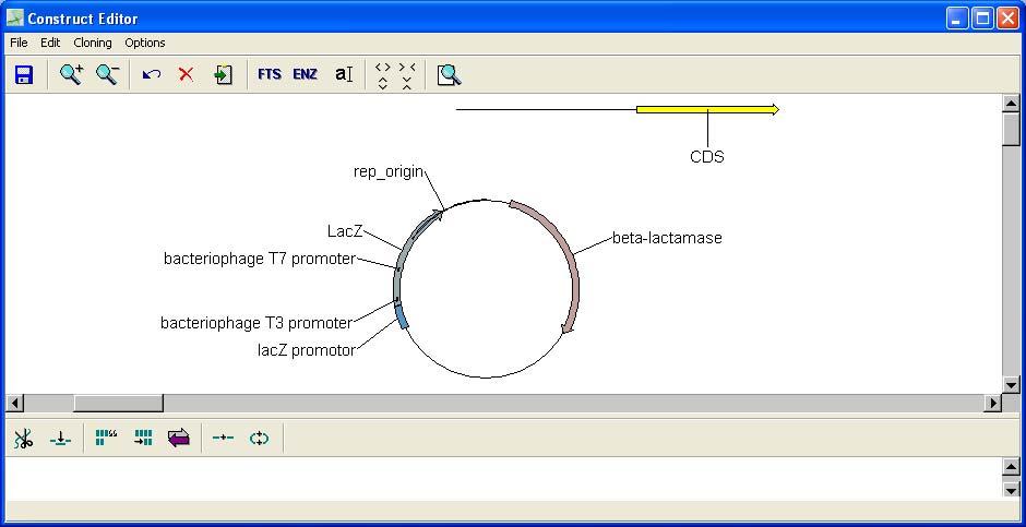 26 The Kodon quickguide Figure 3-11. The Construct editor window. 3.8.7 Double-click on the yellow CDS feature in the middle panel.