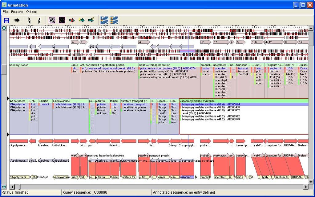 Chapter 4 - Chromosome Mapping 35 Figure 4-11. The Annotation window. query coding sequence (in blue) are shown in the new window (see Figure 4-12).