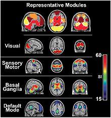 fmri Structural Imaging