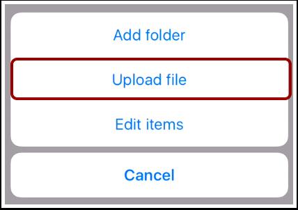 Upload File To upload a file, tap the Upload file button.