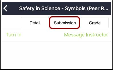 View Submission To view assignment submission information, tap the Submission tab.