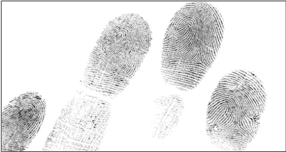 Unsegmented Slap Fingerprint (4-finger simultaneous
