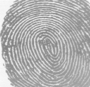fingerprints s