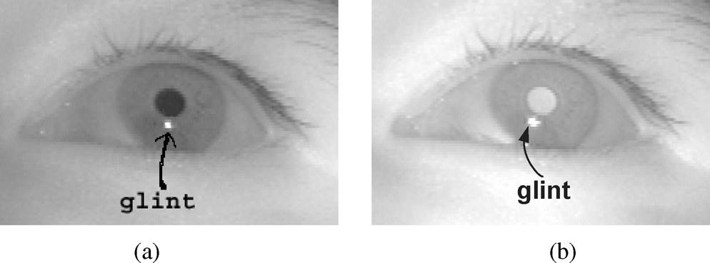 ZHU AND JI: NOVEL EYE GAZE TRACKING TECHNIQUES UNDER NATURAL HEAD MOVEMENT 2247 Fig. 1. Eye images with glints. (a) Dark-pupil image. (b) Bright-pupil image. Glint is a small bright spot as indicated.