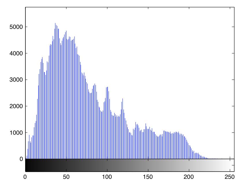 Figure 3: Histogram of the dogs gray-scale image.