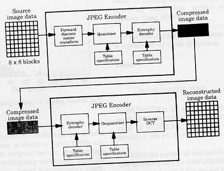 JPEG Compression Accepted as an international image compression