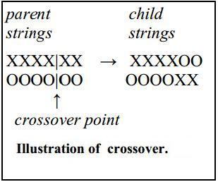 Crossover Operator Two parent solution strings from the mating pool combine to create two new child solution strings: 1 Randomly select two parent strings from the mating pool.