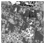 Standard Lena (56x56) Image Input Proposed IMWT based Lossy Reconstructed Reconstructed with LL-Subband alone Lossy Distortion Output Reconstructed with LL-Subband alone Lossy Distortion Output