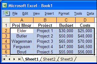 Paste Text and Values into Multiple Columns and Rows Milestones Simplicity allows you to paste cells from a spreadsheet directly into the Milestones Simplicity column cells, across many rows. 1.