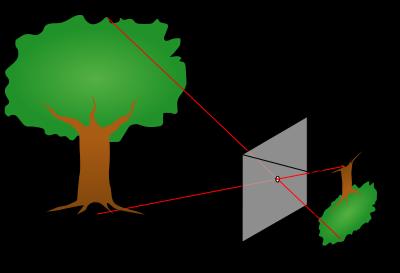 Cameras: Collect 2D images from 3D scene Detect local and global features Sense static and moving targets