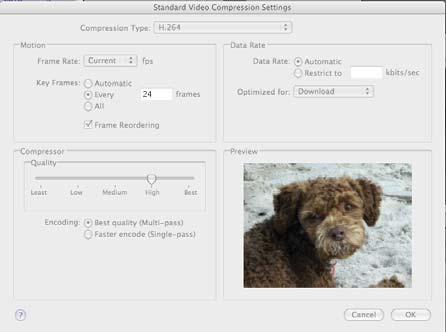 Select the Options button to modify your format selection. The Movie Settings dialog box will open. 2.