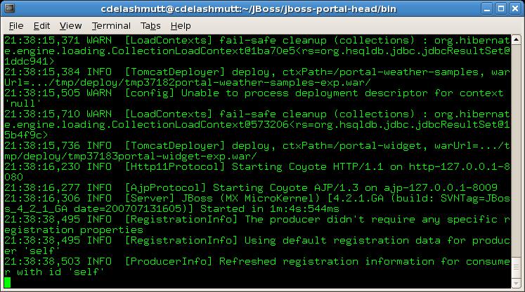 Installation Figure 1: Portal console Note If the database tables do not exist, you may see a lot of messages the first time the portal runs and it creates the tables.