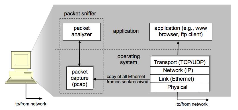 Packet Sniffers Packet Sniffers Wireshark Figure : The structure