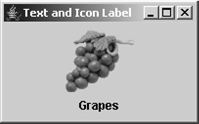Using Labels // Create an image icon from image file ImageIcon icon = new ImageIcon("image/grapes.