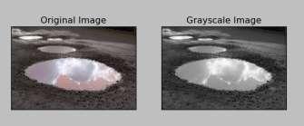 FIG.2. Example of grayscaling. After grayscaling we perform three different blurs on the image.