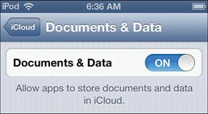 12. Tap icloud. 13. Tap Documents & Data. 14.
