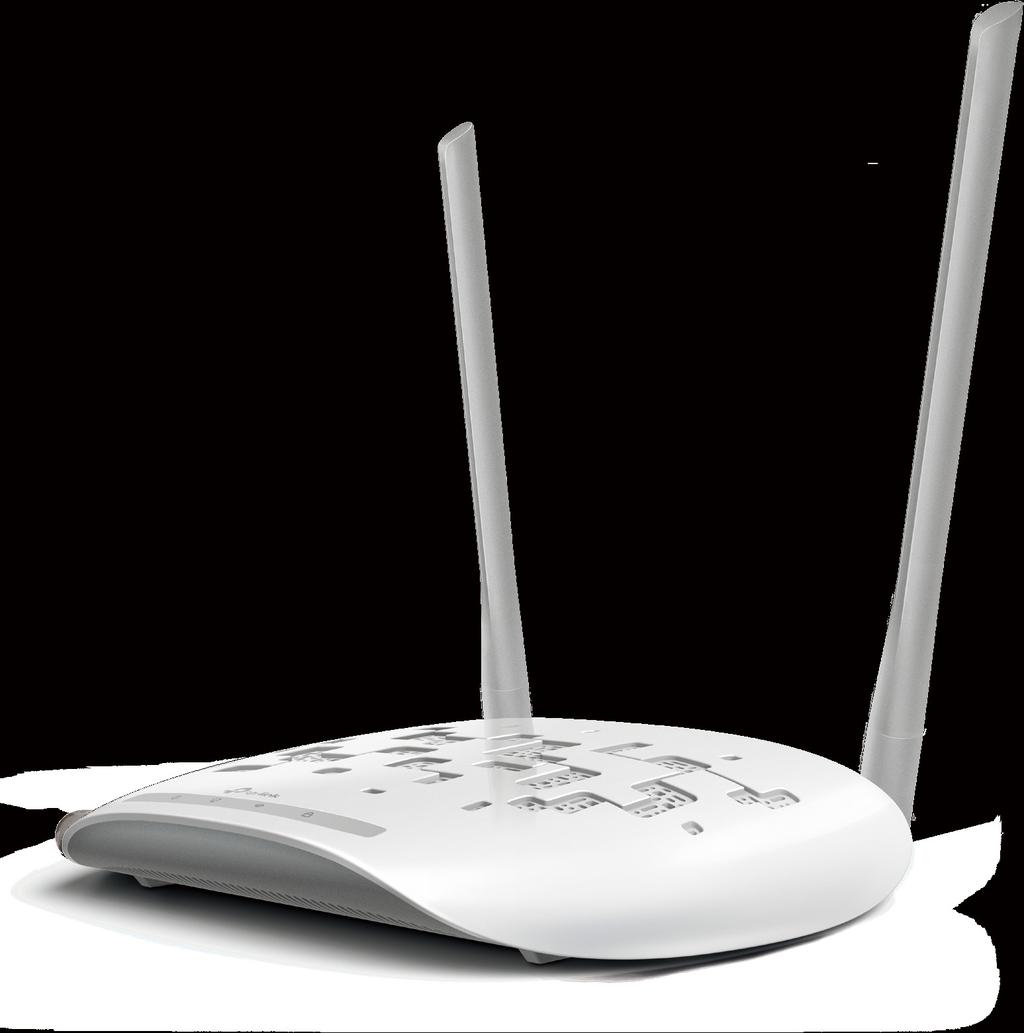 300Mbps Wireless N Access