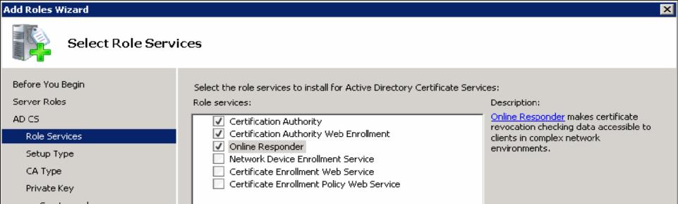 Certification Authority Web Enrolment as well as