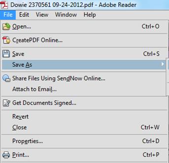 Depending on the document management process being used, users may wish to save a file using a new filename.