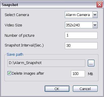 Camera #: the selected channel would be snapshot when an alarm is occurred. b. Video Size: select the size of snapshot picture. c. Number of picture: the number of picture that is going to be taken.