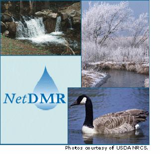 NetDMR Internal and External User