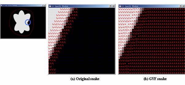 Fg..- Capture ranges of the orgnal snake (a and the GVF snake (b.. Results of GVF Snakes The results of the GVF snake are shown n the followng lnk. Lnk : Lnk to Image Gallery.