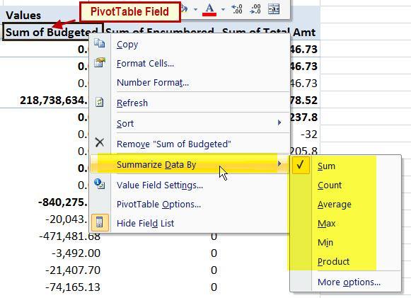 2. From the short cut menu select Summarize Data By. 3. Select the desired numeric function OR to change the Value label name select More Options. 4.