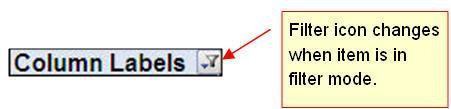 FILTER PIVOTTABLE ITEMS PivotTable items can be filtered similar to the items of an Excel Spreadsheet.