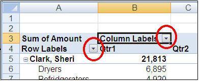 Select the check box next to the item to be filtered. The PivotTable report will show only the data for that item.