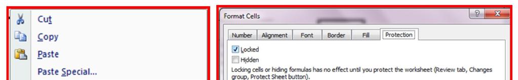 CELL(S) PROTECTION Step 1: IDENTIFY the cell(s) to be protected/hidden