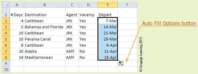 Modifying the Worksheet Structure (continued) Using the AutoFill Feature to Fill in a