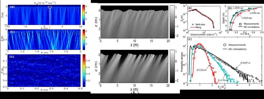 Figure 1. High-spatial-resolution patterns of the underwater downwelling irradiance Ed affected by the ocean surface waves.