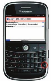 Blackberry Select the Web browser.