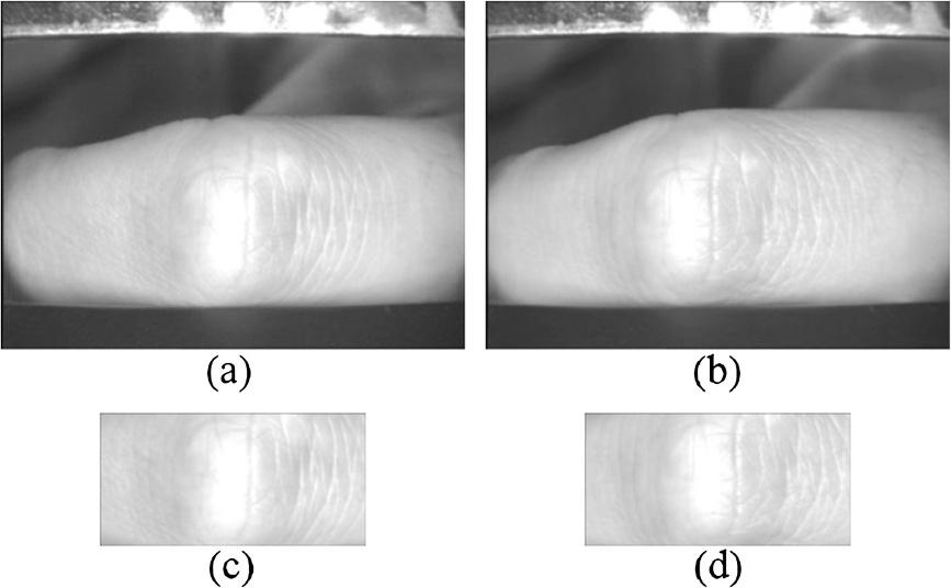Kong et al. EURASIP Journal on Advances in Signal Processing 014, 014:44 Page 4 of 8 Figure 4 Some typical images. (a,b) Original finger knuckle print images. (c,d) Corresponding ROI images.