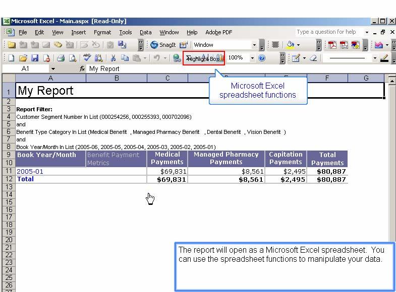 Slide 13 - Slide 13 Microsoft Excel spreadsheet functions The report will open as a Microsoft