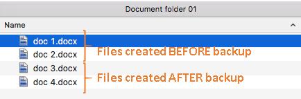iv) A restore is performed for the Document folder 01, with Delete extra files option enabled.