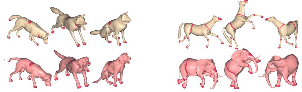 Figure 13: Examples of deformation transfer based on handle correspondence, instead of full triangle correspondence (from wolf to dog, from horse to elephant).