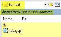 You can access your tomcat directory via a browser using a link like that below (with the appropriate user
