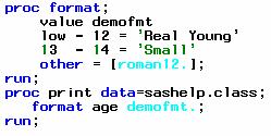 Figure 12. Notice the values for Other in the PROC FORMAT code. Applying the DEMOFMT format to a familiar data set gives us the following output. Figure 13. Notice the AGE column.