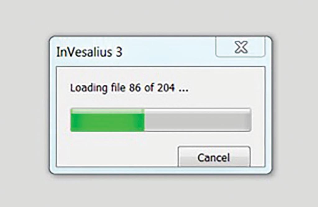 InVesalius will begin to upload the files.