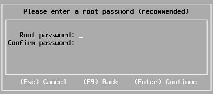 Enter your custom password in the Root password and Confirm password fields. Be sure to record this password in a safe place.