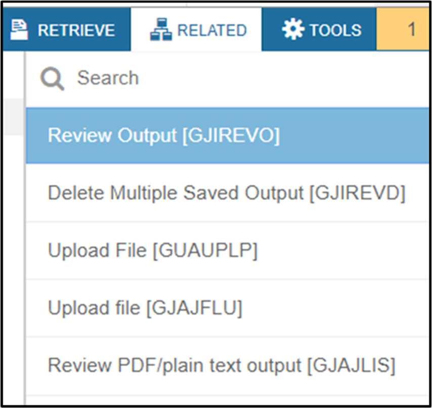 9. Select Related from the Navigation pane, then select Review Output (GJIREVO) page to view the report 10. Enter FGRTRNI in the Process field 11.
