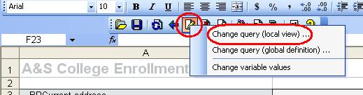 BEx Analyzer Toolbar Change Query Change query (local
