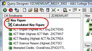 InfoProvider Frame Elements of the InfoProvider Key Figures May contain Calculated Key