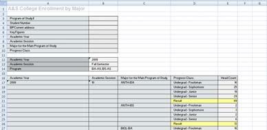 Via Excel Report has all the limitations of Excel,