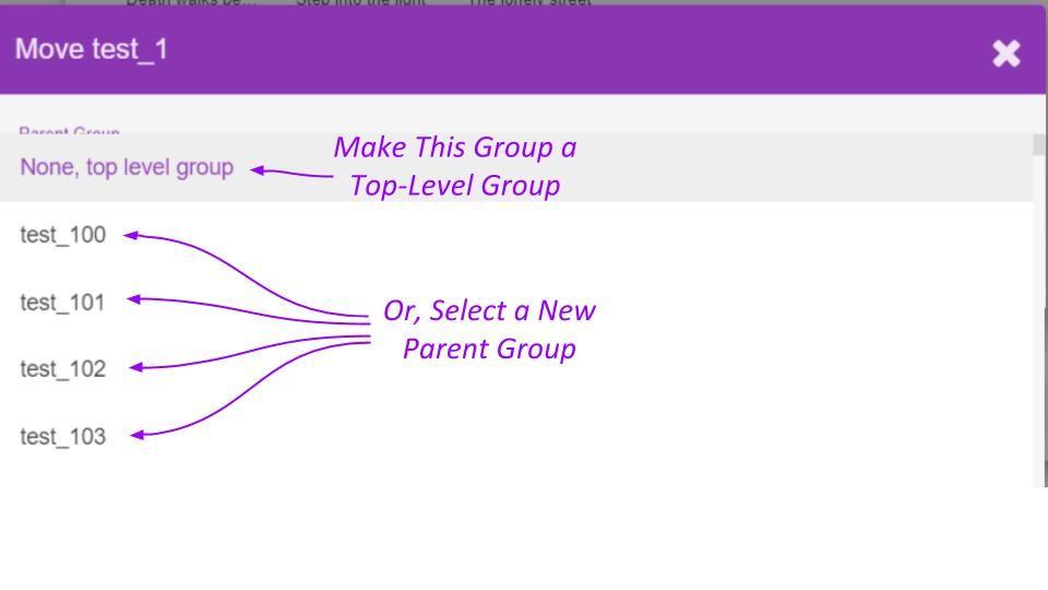 Select one of the available Camera Groups as the new parent Camera Group, or select