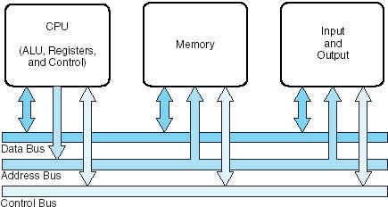 The Modified Von Neumann Model The data bus: Moves data from main memory to the CPU registers (and vice versa).