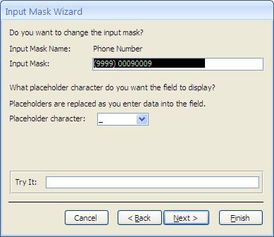 A suggested Input Mask and the character that will be displayed in the field are shown. This page allows you to make changes to both the Input Mask and the placeholder character.