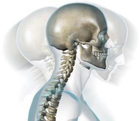 posture Ergonomics of posture Freedom of head movement Increased